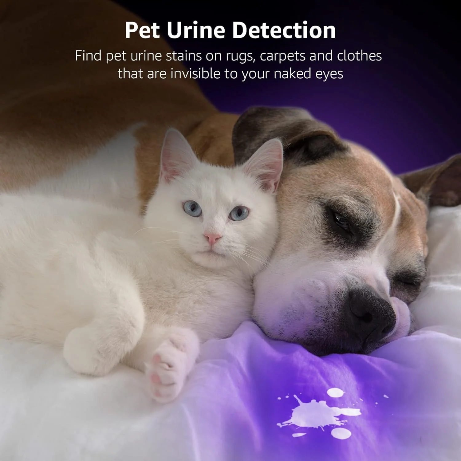 Lepro 51-LED UV Flashlight (395nm) – Pet Stain & Bed Bug Detector - Image 2